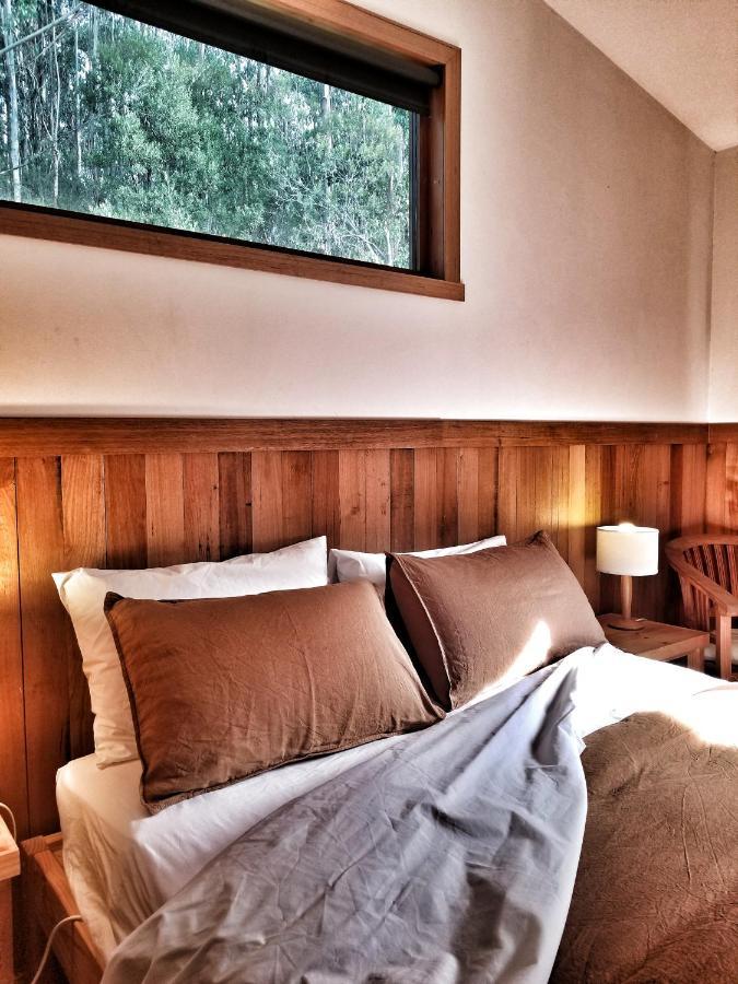 Southern Forest Accommodation Southport Екстер'єр фото