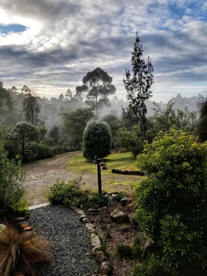 Southern Forest Accommodation Southport Екстер'єр фото