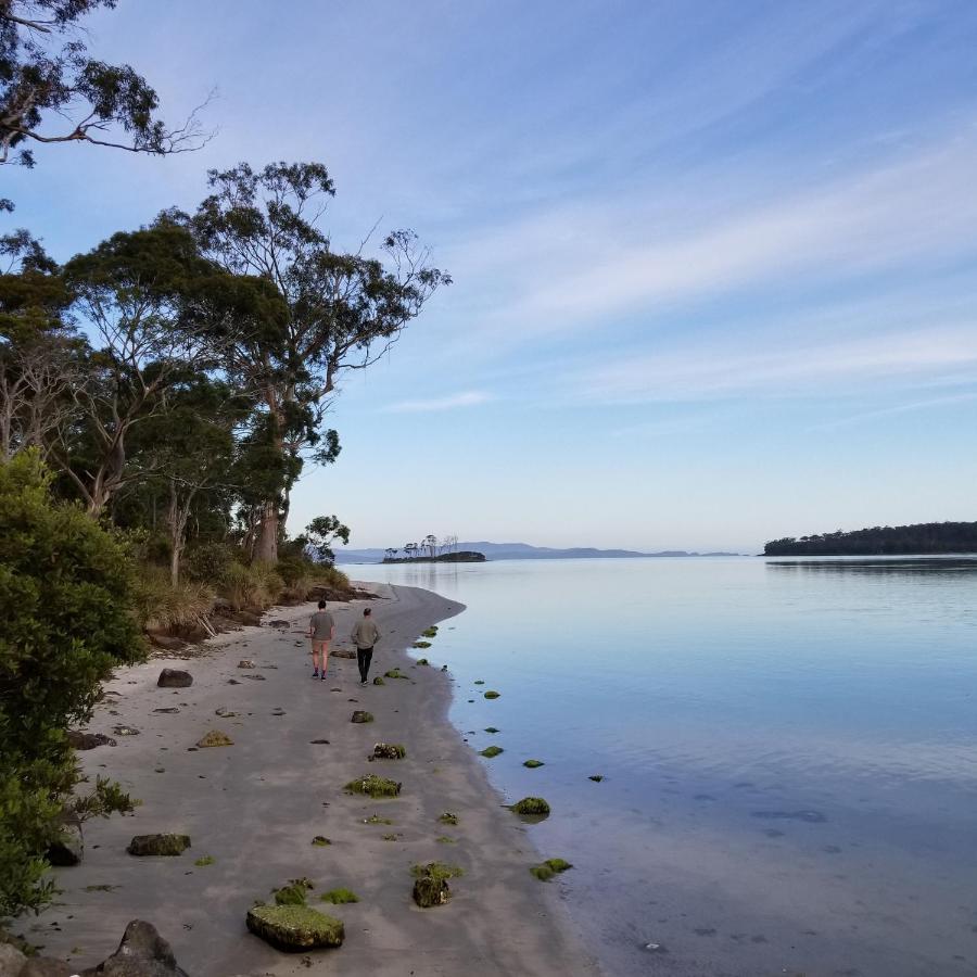 Southern Forest Accommodation Southport Екстер'єр фото