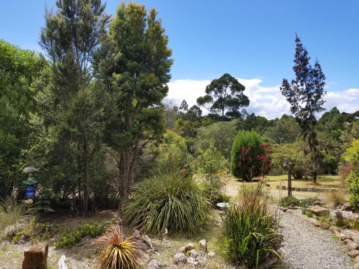 Southern Forest Accommodation Southport Екстер'єр фото
