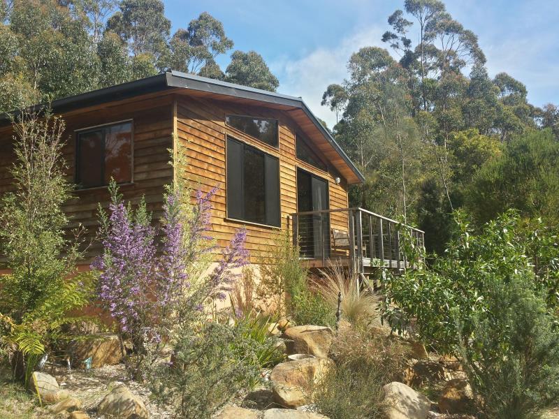 Southern Forest Accommodation Southport Екстер'єр фото